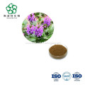 /msite/products/detail/productid/62854754/id/1511203.html